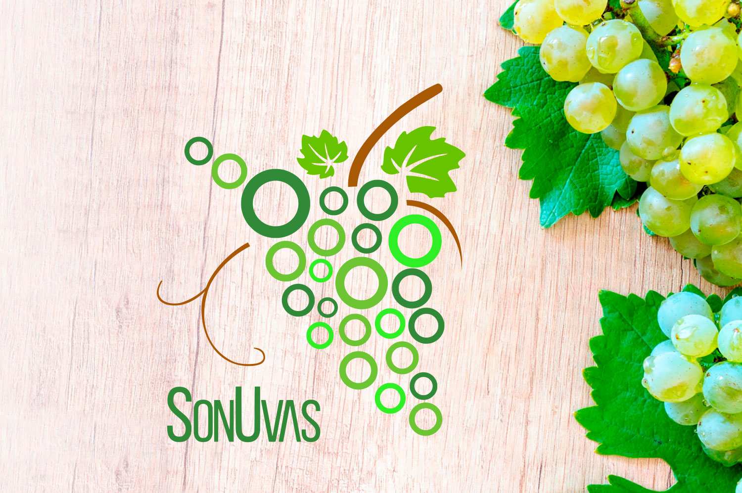 Cultivo de uvas en proceso